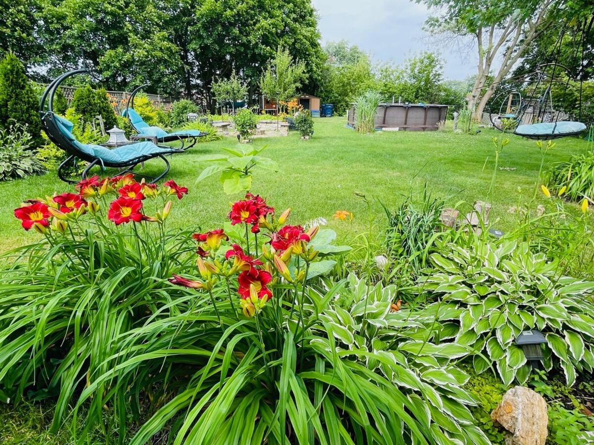 Schaumburg Paradise Oasis With A Secret Garden And Private Pool Екстер'єр фото